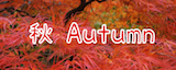 Autumn